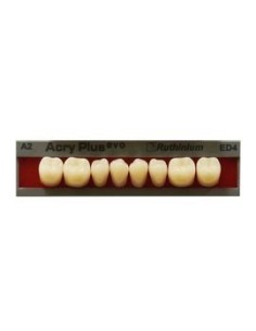 RUTHINIUM - ACRY PLUS EVO MOLARES INFER.