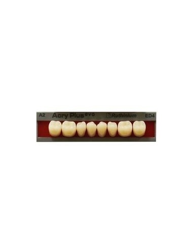 RUTHINIUM - ACRY PLUS EVO MOLARES INFER.