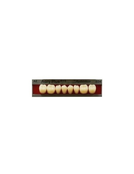 RUTHINIUM - ACRY PLUS EVO MOLARES INFER.