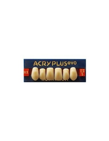 RUTHINIUM - ACRY PLUS EVO RX DIENTE SUPER.