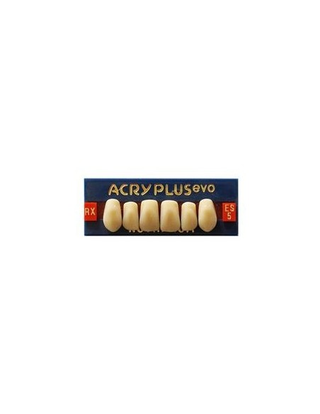 RUTHINIUM - ACRY PLUS EVO RX DIENTE SUPER.