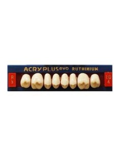 RUTHINIUM - ACRY PLUS EVO RX MOLARES SUPER.