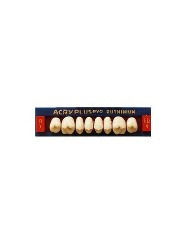 RUTHINIUM - ACRY PLUS EVO RX MOLARES SUPER.
