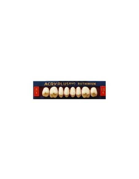 RUTHINIUM - ACRY PLUS EVO RX MOLARES SUPER.