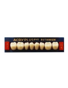 RUTHINIUM - ACRY PLUS EVO RX MOLARES INFER.
