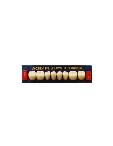 RUTHINIUM - ACRY PLUS EVO RX MOLARES INFER.