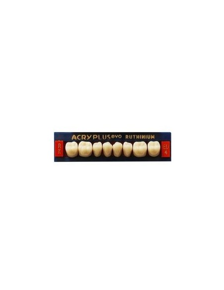 RUTHINIUM - ACRY PLUS EVO RX MOLARES INFER.