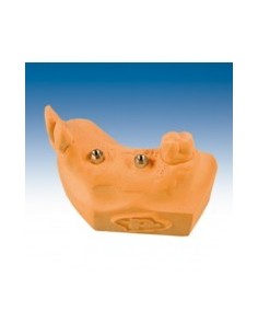 PROTECHNO - RESIN-GIPS 12 KG ECO-PACK (6X2000G) COLOR ALBARICOQUE. TIPO 4. YESO NATURAL EXTRADURO ADITIVADO CON RESINA.