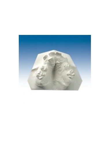 RUTHINIUM - ORTO STONE ENVASE 18 KG.