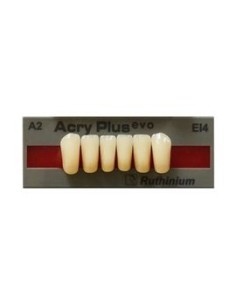RUTHINIUM - ACRY PLUS EVO DIENTE INFER.