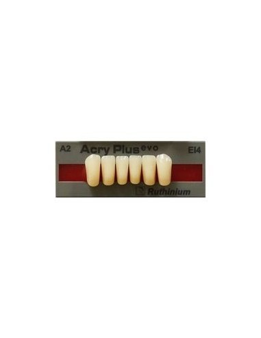 RUTHINIUM - ACRY PLUS EVO DIENTE INFER.