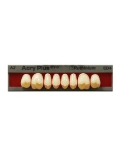 RUTHINIUM - ACRY PLUS EVO MOLARES SUPER.