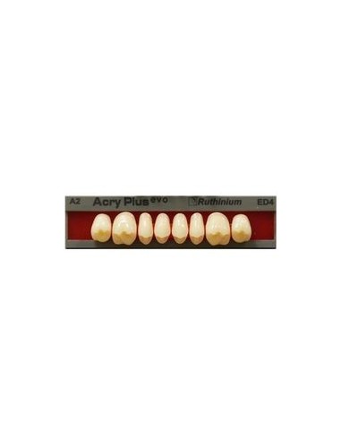RUTHINIUM - ACRY PLUS EVO MOLARES SUPER.