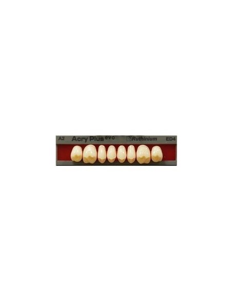 RUTHINIUM - ACRY PLUS EVO MOLARES SUPER.